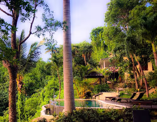 West Coast Tropical Retreat, Multi Villa Property - Ancient Grove Estate